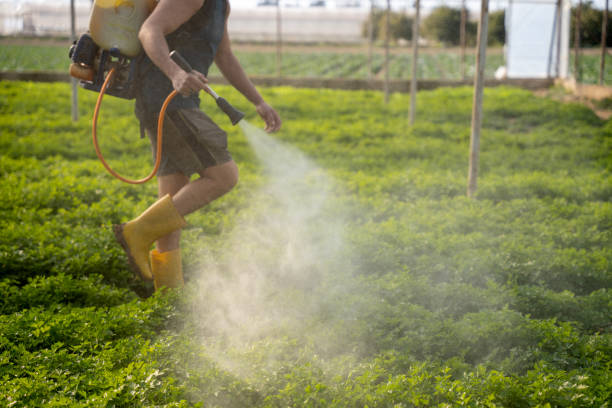 Best Ant Control Services  in Greenville, PA