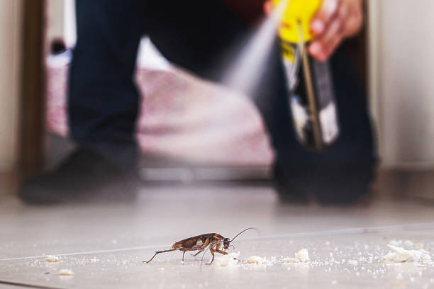 Best Flea Control Services  in Greenville, PA