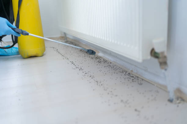 Best Termite Control Services  in Greenville, PA