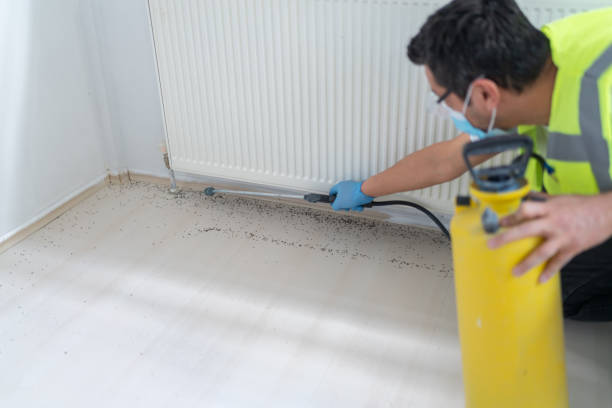 Best Flea Control Services  in Greenville, PA